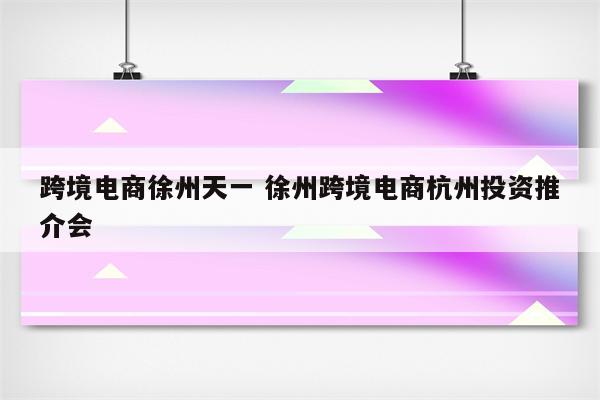 跨境电商徐州天一 徐州跨境电商杭州投资推介会