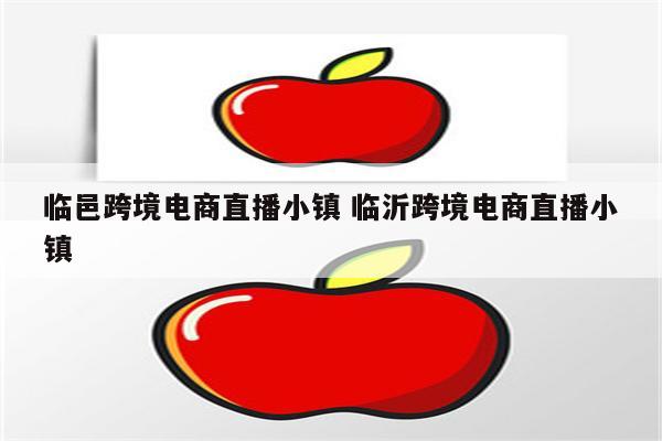 临邑跨境电商直播小镇 临沂跨境电商直播小镇