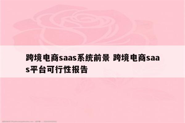 跨境电商saas系统前景 跨境电商saas平台可行性报告
