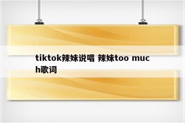 tiktok辣妹说唱 辣妹too much歌词