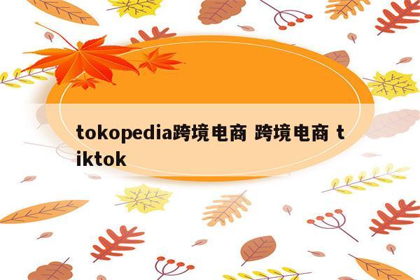 tokopedia跨境电商 跨境电商 tiktok