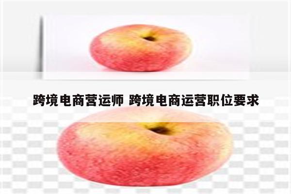 跨境电商营运师 跨境电商运营职位要求
