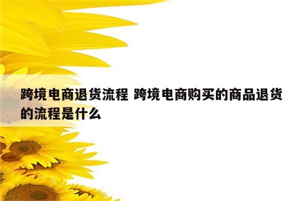 跨境电商退货流程 跨境电商购买的商品退货的流程是什么