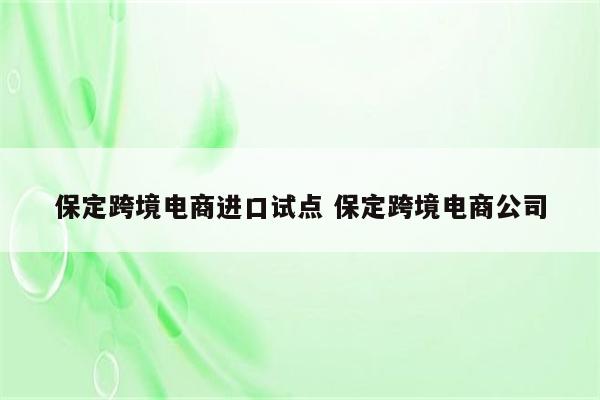 保定跨境电商进口试点 保定跨境电商公司