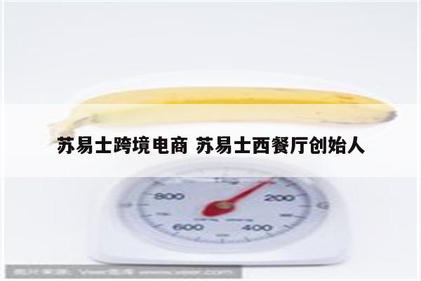 苏易士跨境电商 苏易士西餐厅创始人