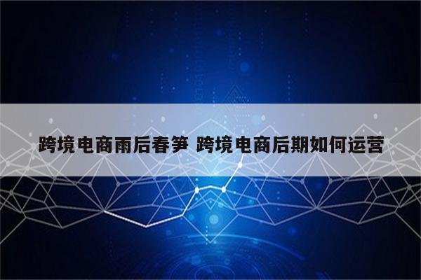 跨境电商雨后春笋 跨境电商后期如何运营