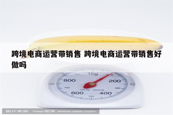 跨境电商运营带销售 跨境电商运营带销售好做吗