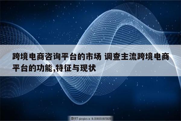 跨境电商咨询平台的市场 调查主流跨境电商平台的功能,特征与现状