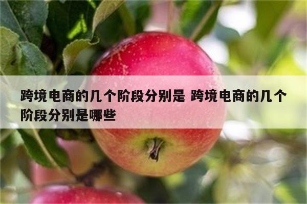 跨境电商的几个阶段分别是 跨境电商的几个阶段分别是哪些