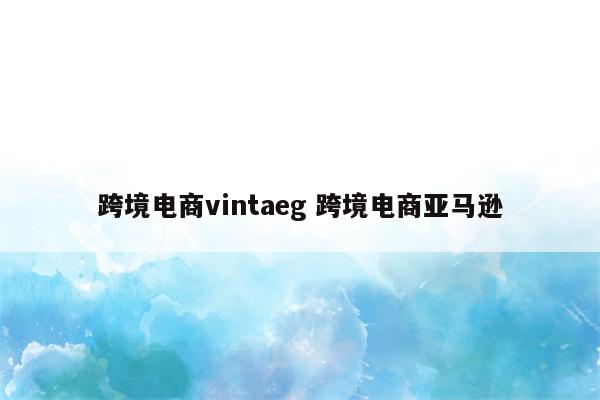 跨境电商vintaeg 跨境电商亚马逊