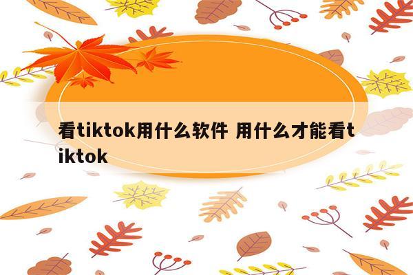 看tiktok用什么软件 用什么才能看tiktok