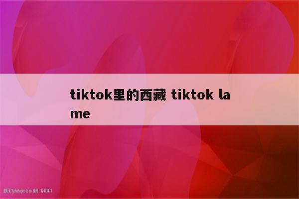 tiktok里的西藏 tiktok lame