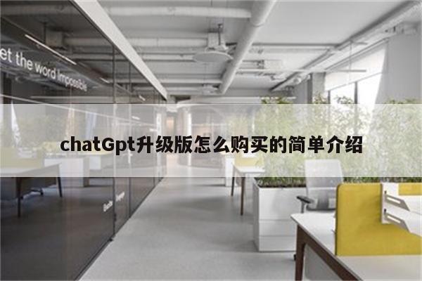 chatGpt升级版怎么购买的简单介绍