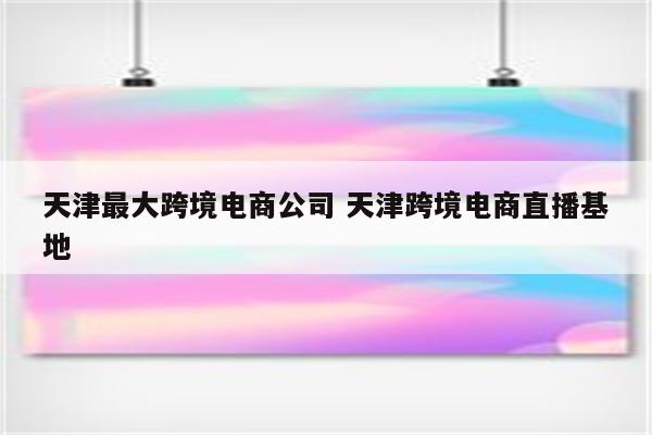 天津最大跨境电商公司 天津跨境电商直播基地