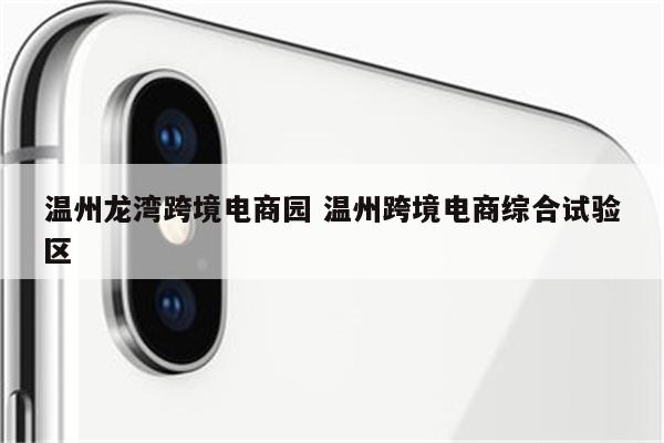 温州龙湾跨境电商园 温州跨境电商综合试验区
