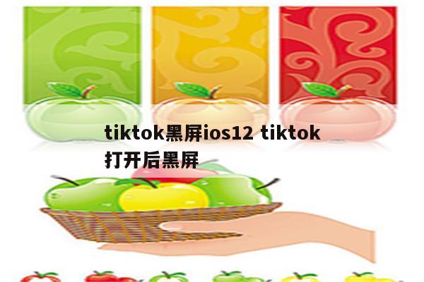 tiktok黑屏ios12 tiktok打开后黑屏