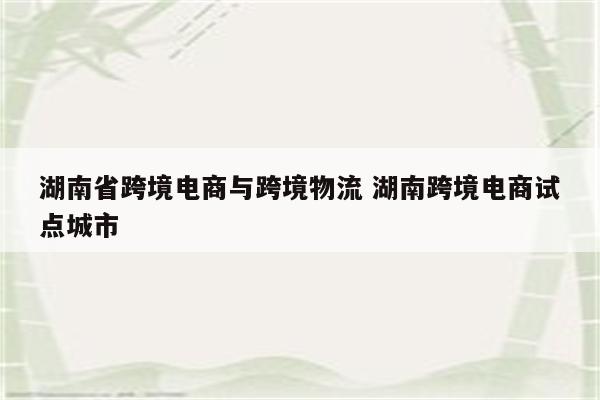 湖南省跨境电商与跨境物流 湖南跨境电商试点城市