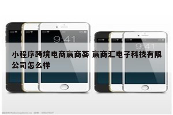 小程序跨境电商赢商荟 赢商汇电子科技有限公司怎么样