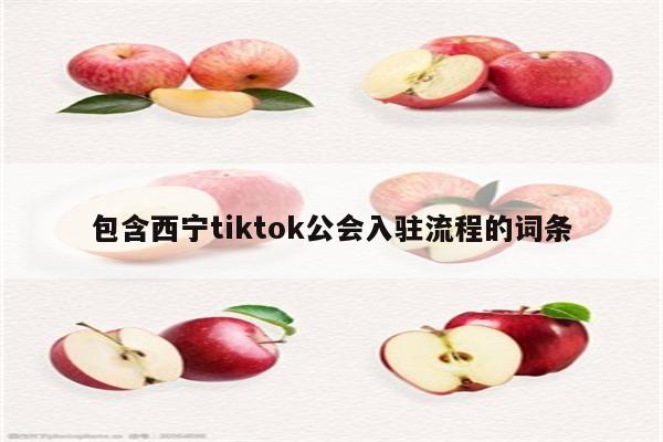 包含西宁tiktok公会入驻流程的词条