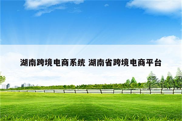 湖南跨境电商系统 湖南省跨境电商平台