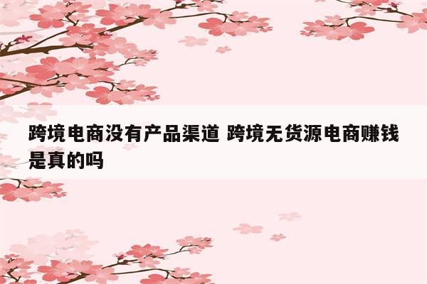 跨境电商没有产品渠道 跨境无货源电商赚钱是真的吗