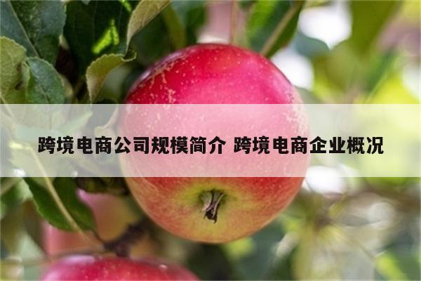 跨境电商公司规模简介 跨境电商企业概况
