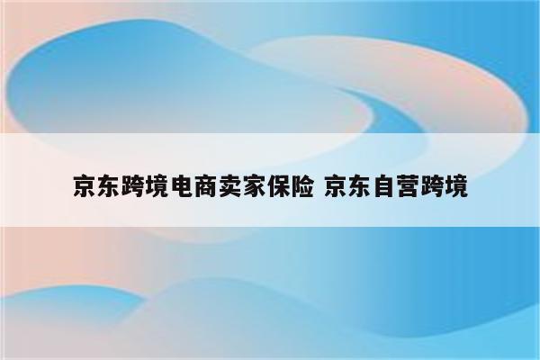 京东跨境电商卖家保险 京东自营跨境