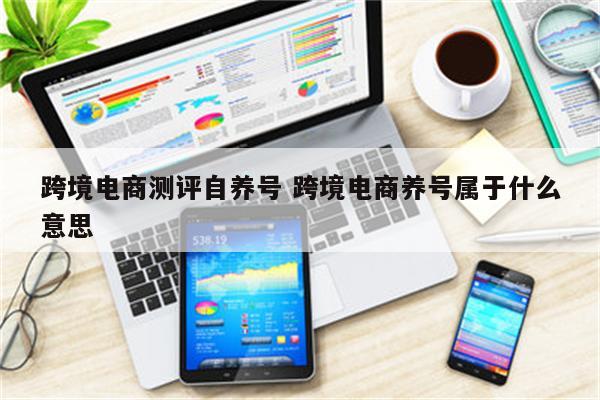 跨境电商测评自养号 跨境电商养号属于什么意思