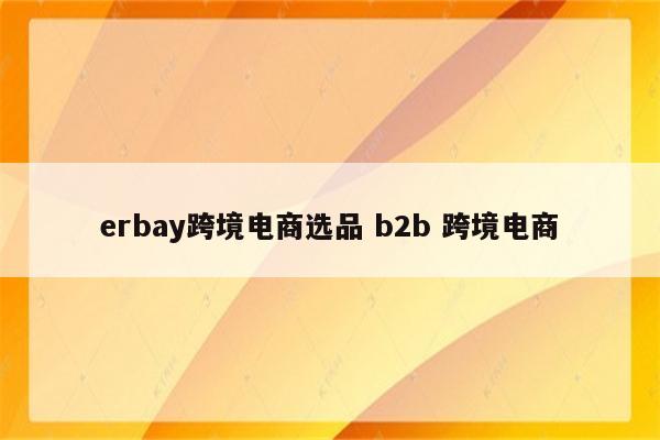 erbay跨境电商选品 b2b 跨境电商