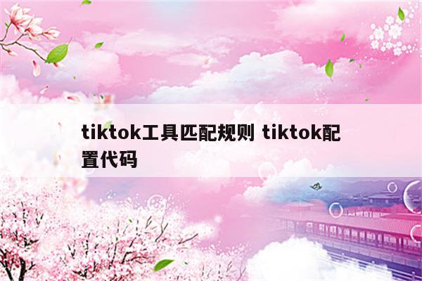 tiktok工具匹配规则 tiktok配置代码