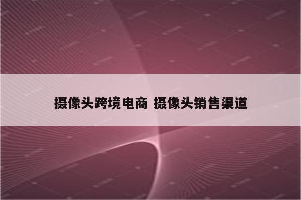 摄像头跨境电商 摄像头销售渠道