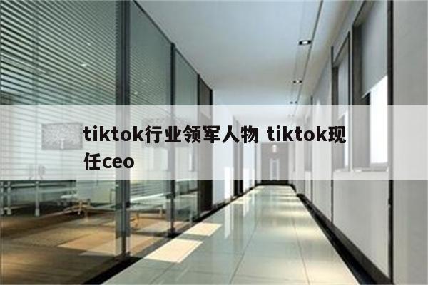 tiktok行业领军人物 tiktok现任ceo