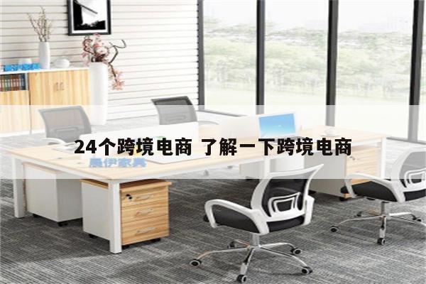 24个跨境电商 了解一下跨境电商