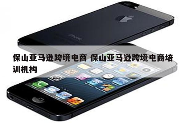 保山亚马逊跨境电商 保山亚马逊跨境电商培训机构