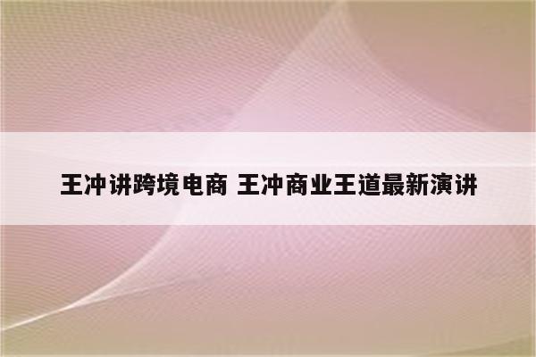 王冲讲跨境电商 王冲商业王道最新演讲
