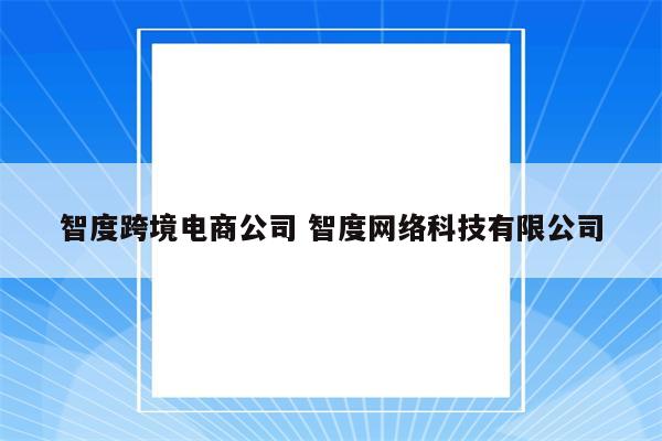 智度跨境电商公司 智度网络科技有限公司