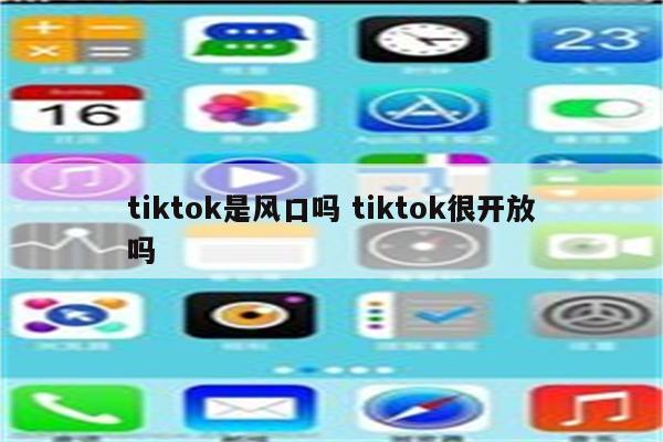 tiktok是风口吗 tiktok很开放吗