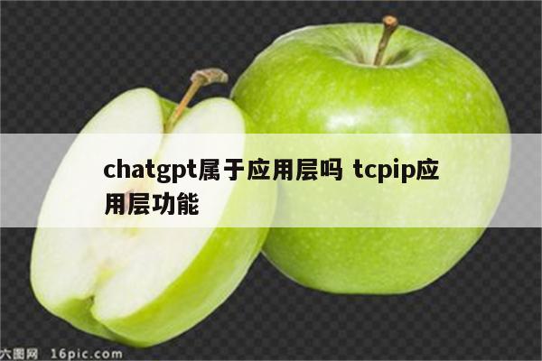 chatgpt属于应用层吗 tcpip应用层功能