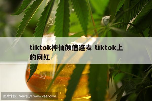 tiktok神仙颜值连麦 tiktok上的网红
