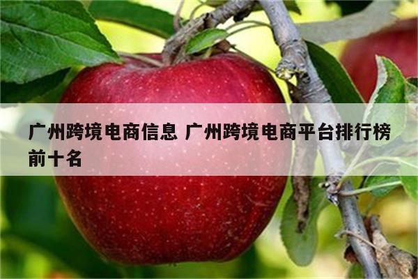 广州跨境电商信息 广州跨境电商平台排行榜前十名