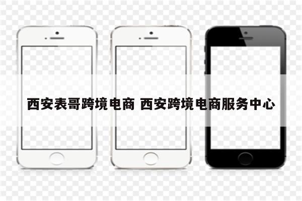 西安表哥跨境电商 西安跨境电商服务中心