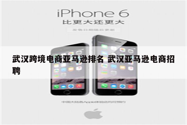武汉跨境电商亚马逊排名 武汉亚马逊电商招聘