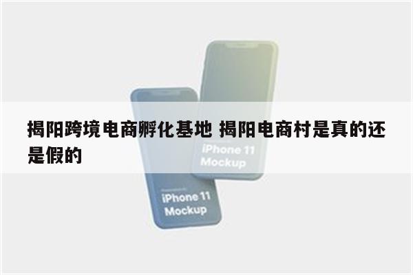 揭阳跨境电商孵化基地 揭阳电商村是真的还是假的