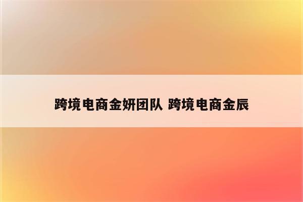 跨境电商金妍团队 跨境电商金辰