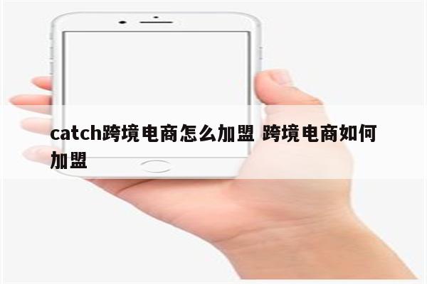 catch跨境电商怎么加盟 跨境电商如何加盟