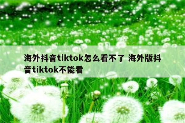 海外抖音tiktok怎么看不了 海外版抖音tiktok不能看
