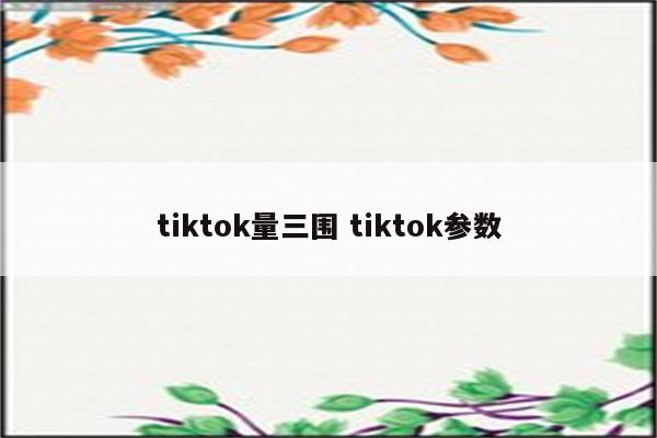 tiktok量三围 tiktok参数