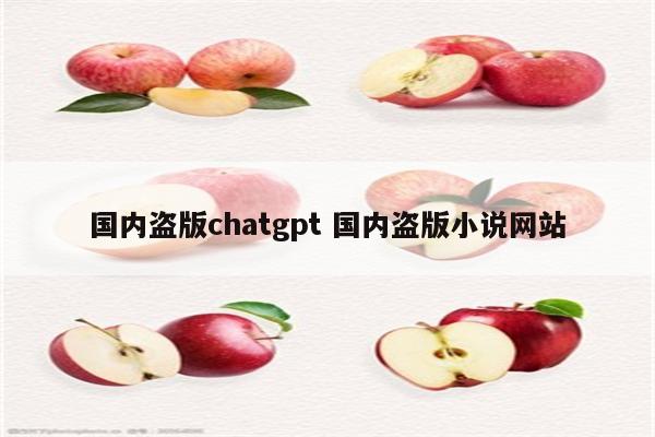 国内盗版chatgpt 国内盗版小说网站