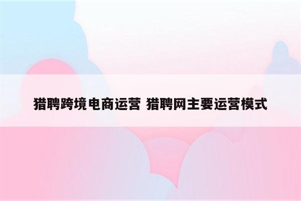 猎聘跨境电商运营 猎聘网主要运营模式