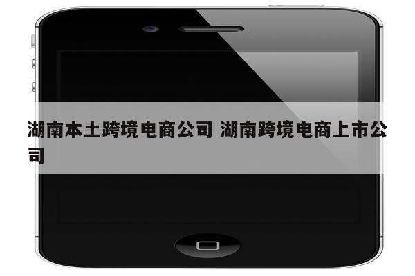 湖南本土跨境电商公司 湖南跨境电商上市公司